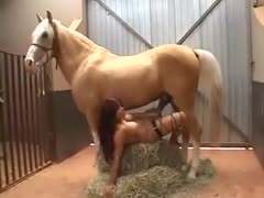 Never seen on camera before Doxy had zoophilia sex with a lovely horse, pure-breasted